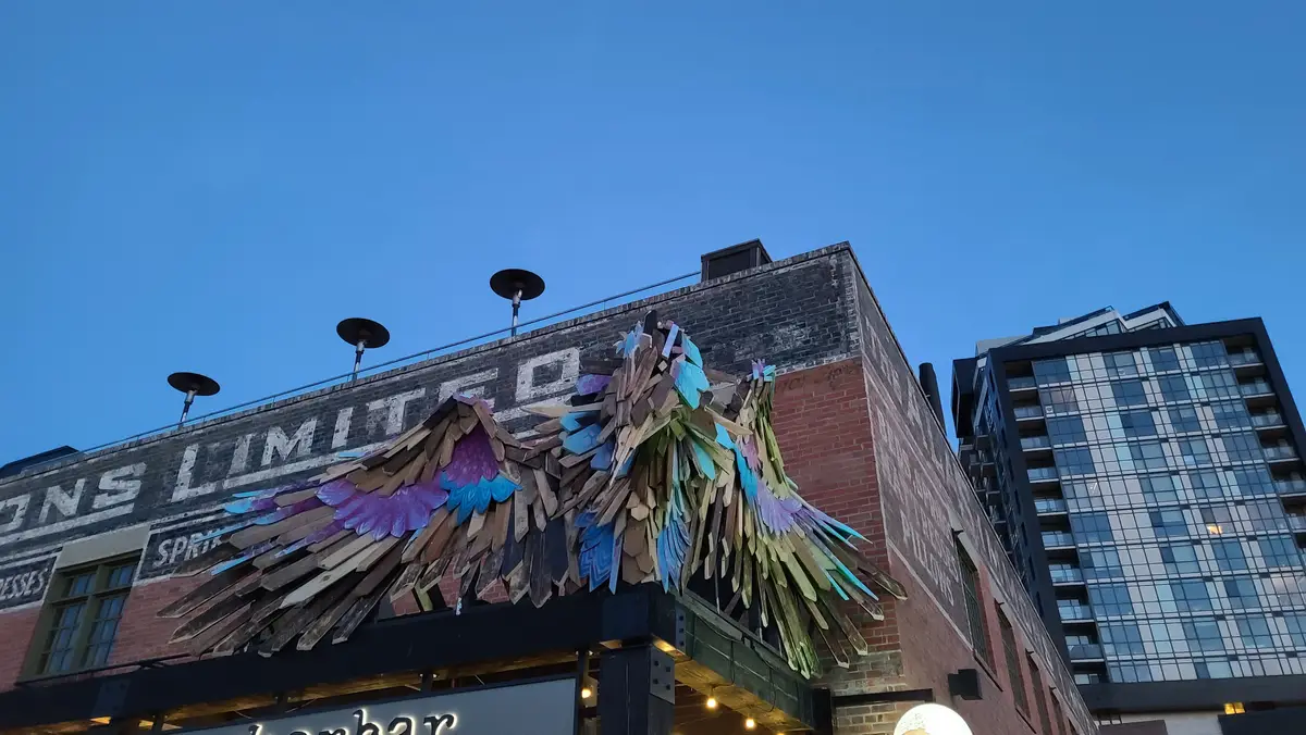SOAR installation at Charbar — wings spread